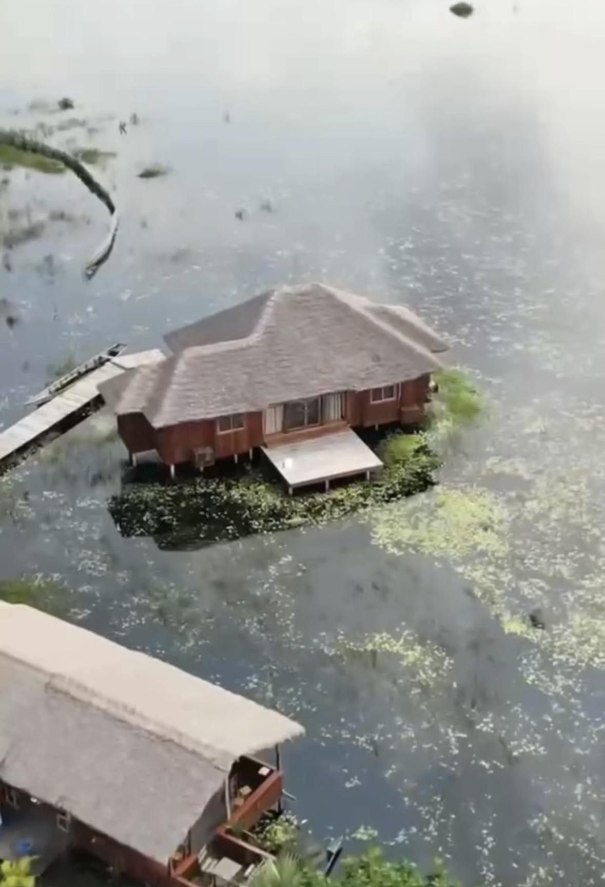 Aracuya interior detail